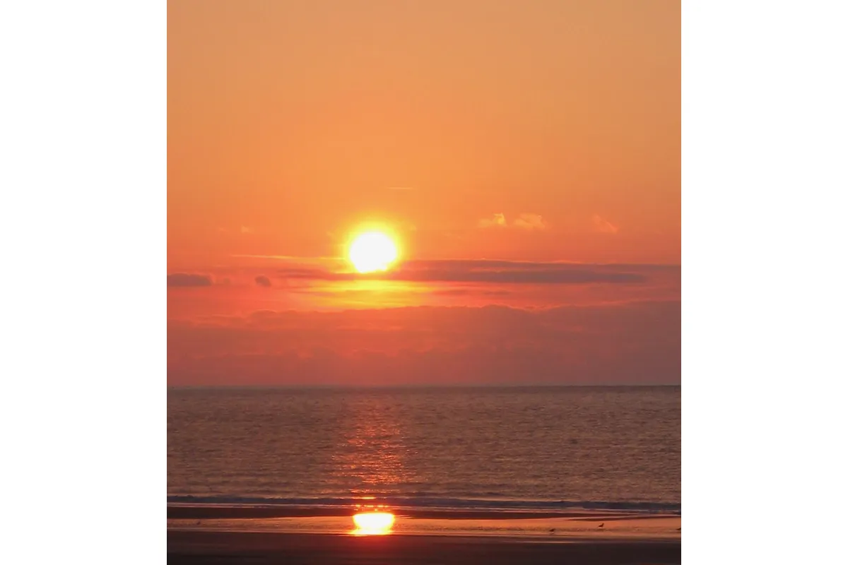 blog-artikel.jpeg