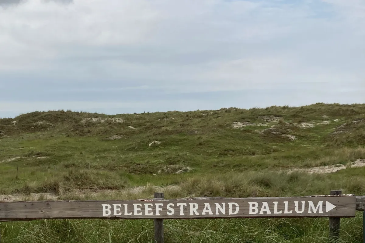natuurgebied-het-beleefstrand-bij-ballum.jpeg